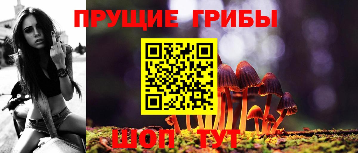 Псилоцибиновые грибы GOLDEN TEACHER  Галлюциногенные грибы мухоморы  Кыштым  Вход с VPN 